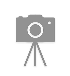 Profesionální fotografie